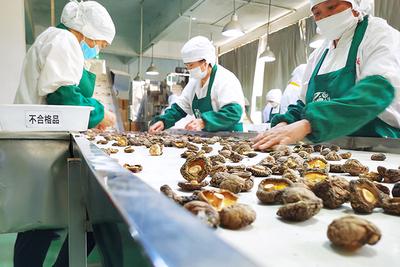 百興食品 風口搶'鮮'，預制菜香飄海內外