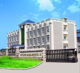 淄博東能煤氣工程技術開發 創新驅動，助力能源可持續發展