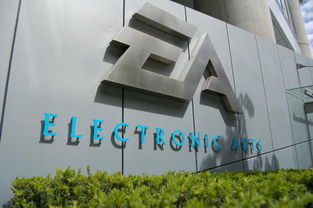 技術(shù)開發(fā) 華裔新移民在加拿大就業(yè)的智慧之路